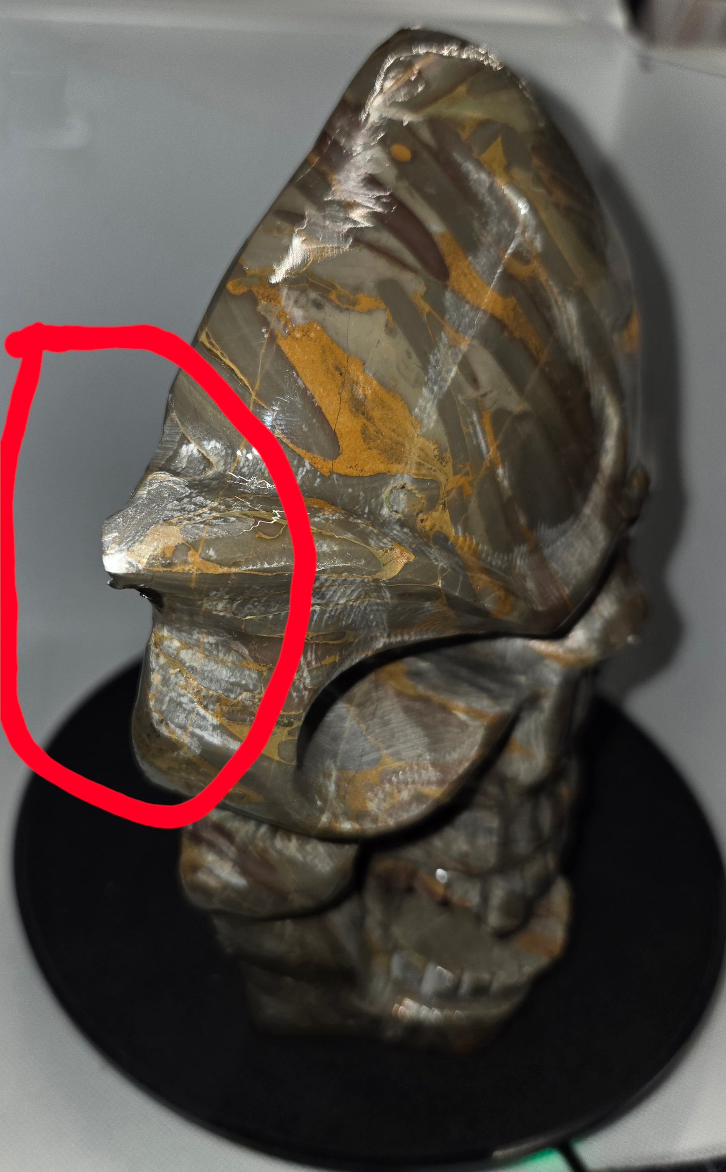 Bamboo Jasper Mask (small Chip)