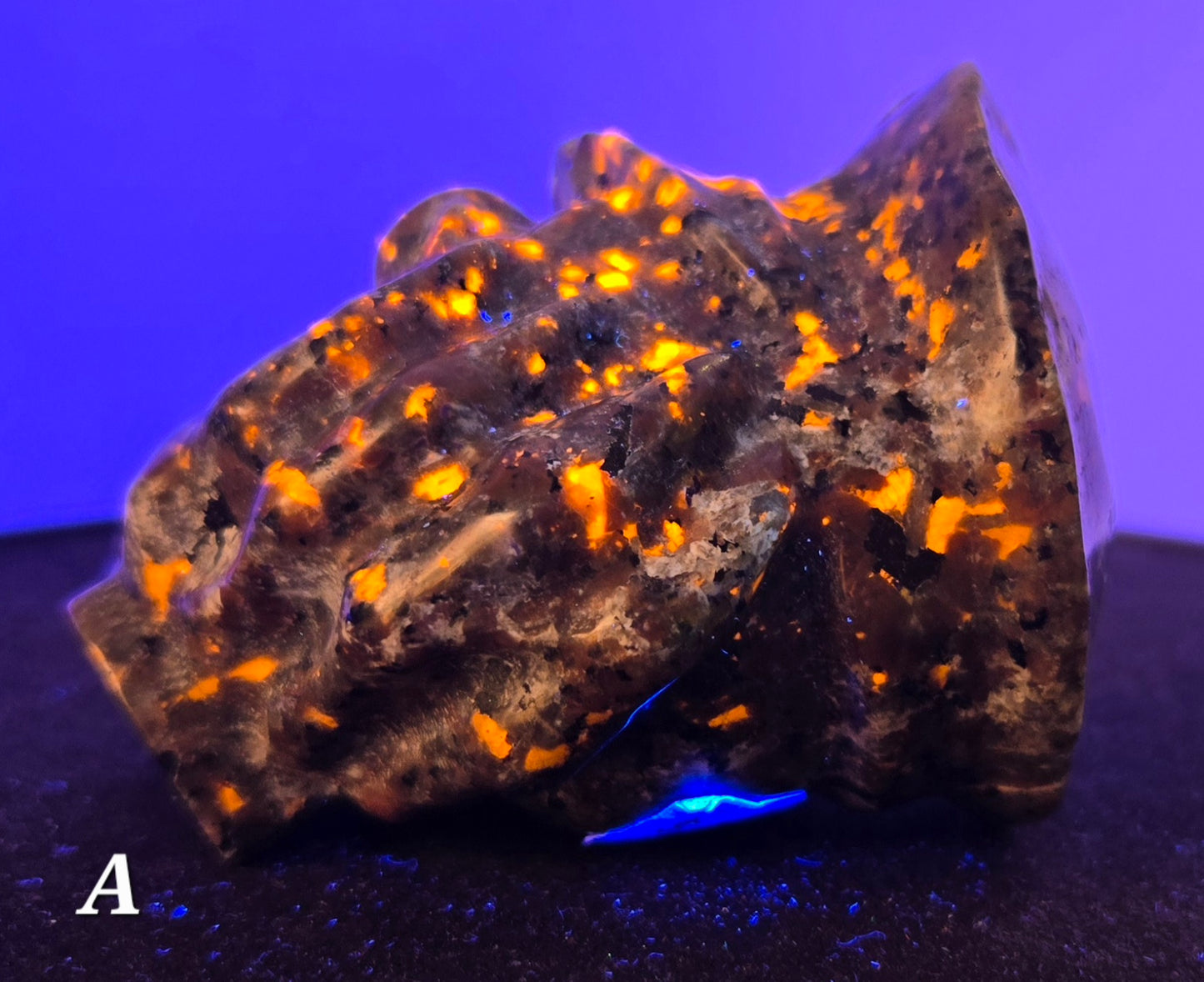 Pirate Skull in Skeletal Hand