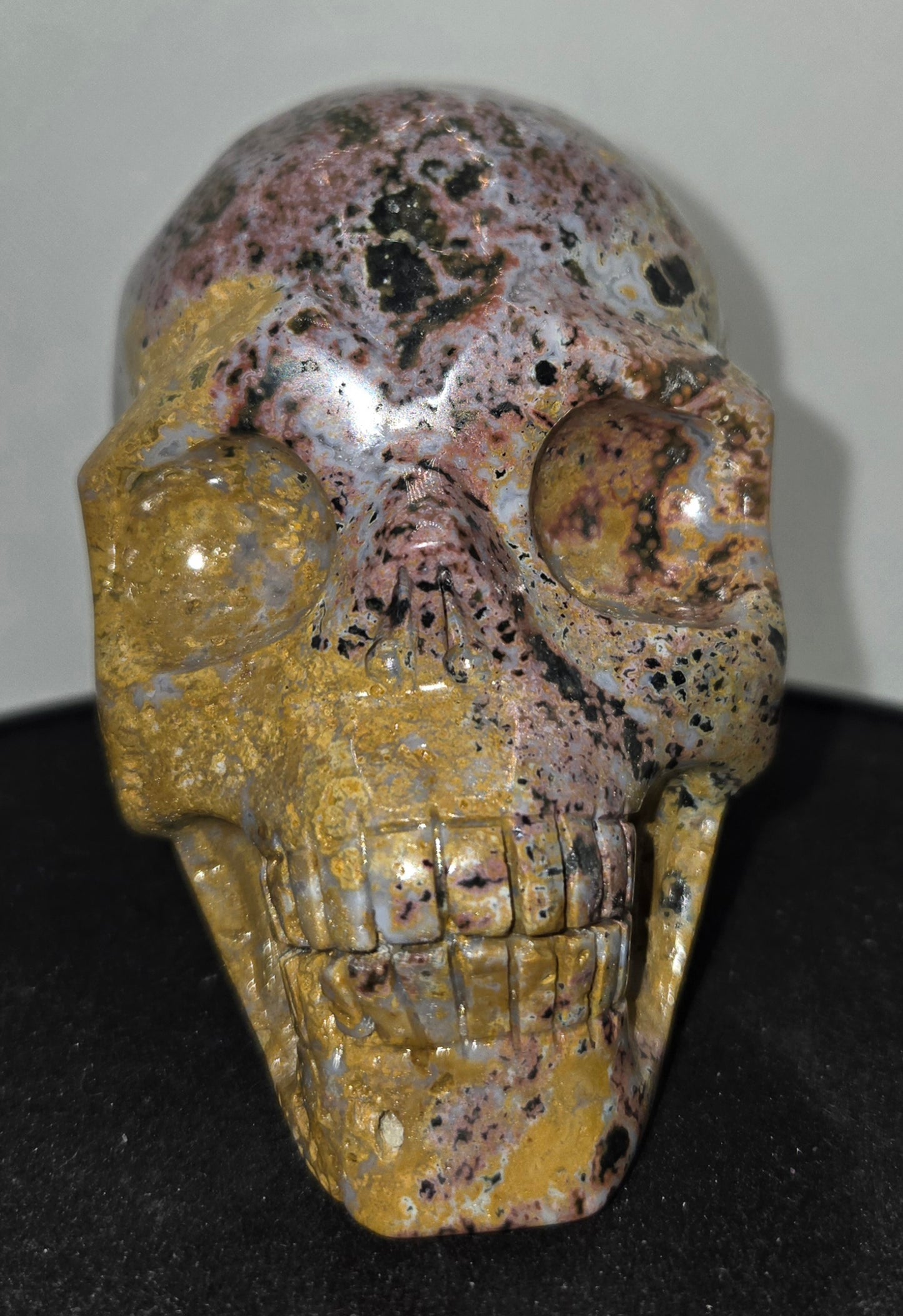 Ocean Jasper Skull