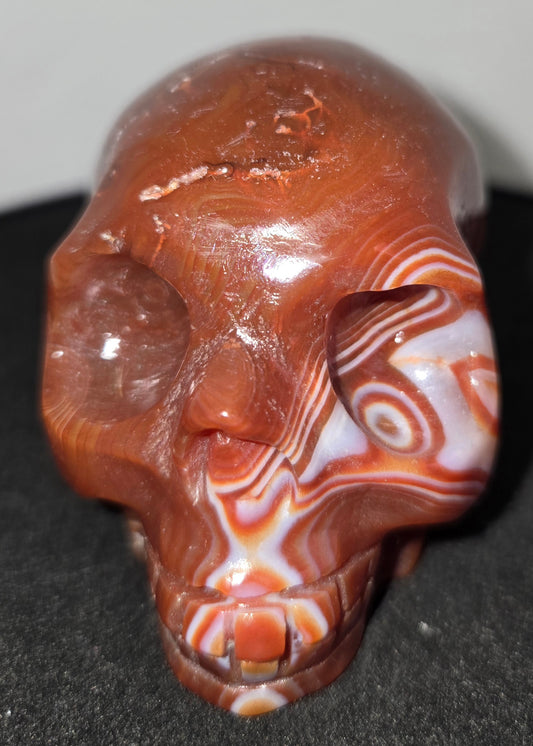 Carnelian Skull