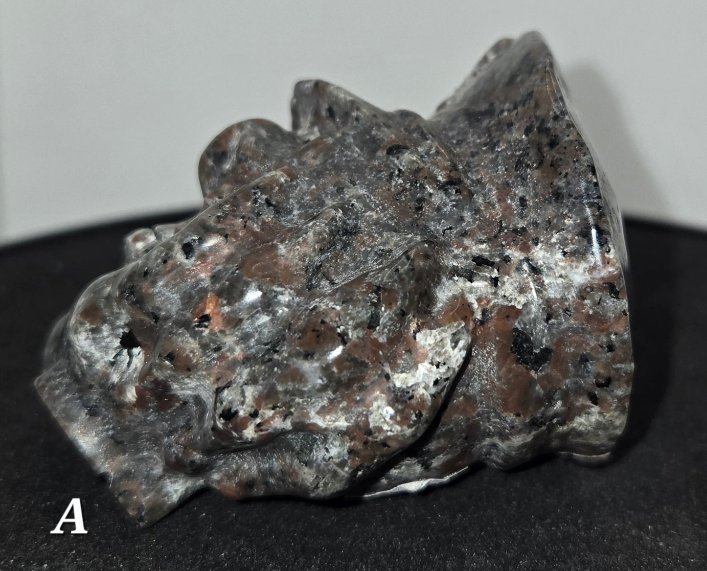 Pirate Skull in Skeletal Hand