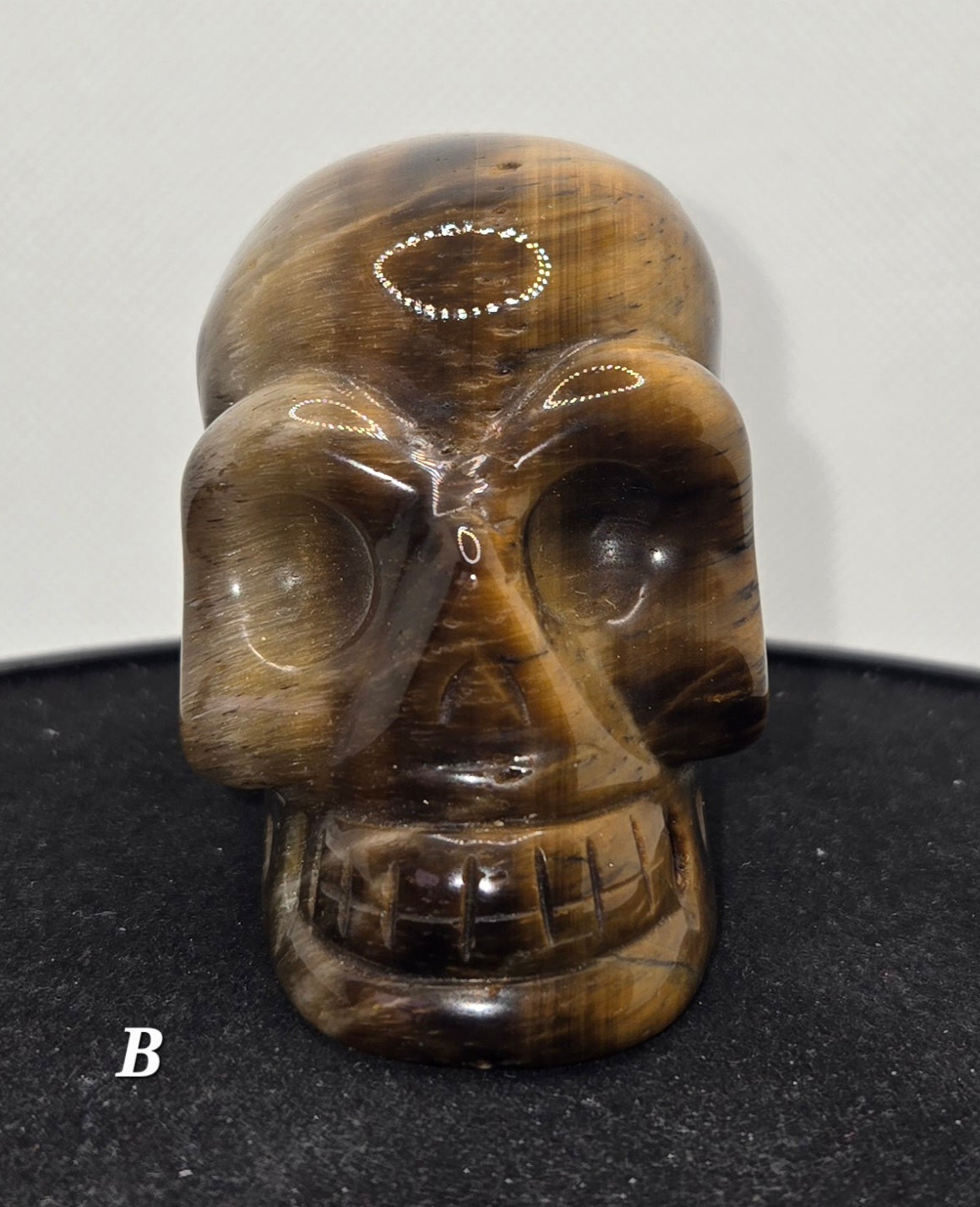 Tigers Eye Skull B