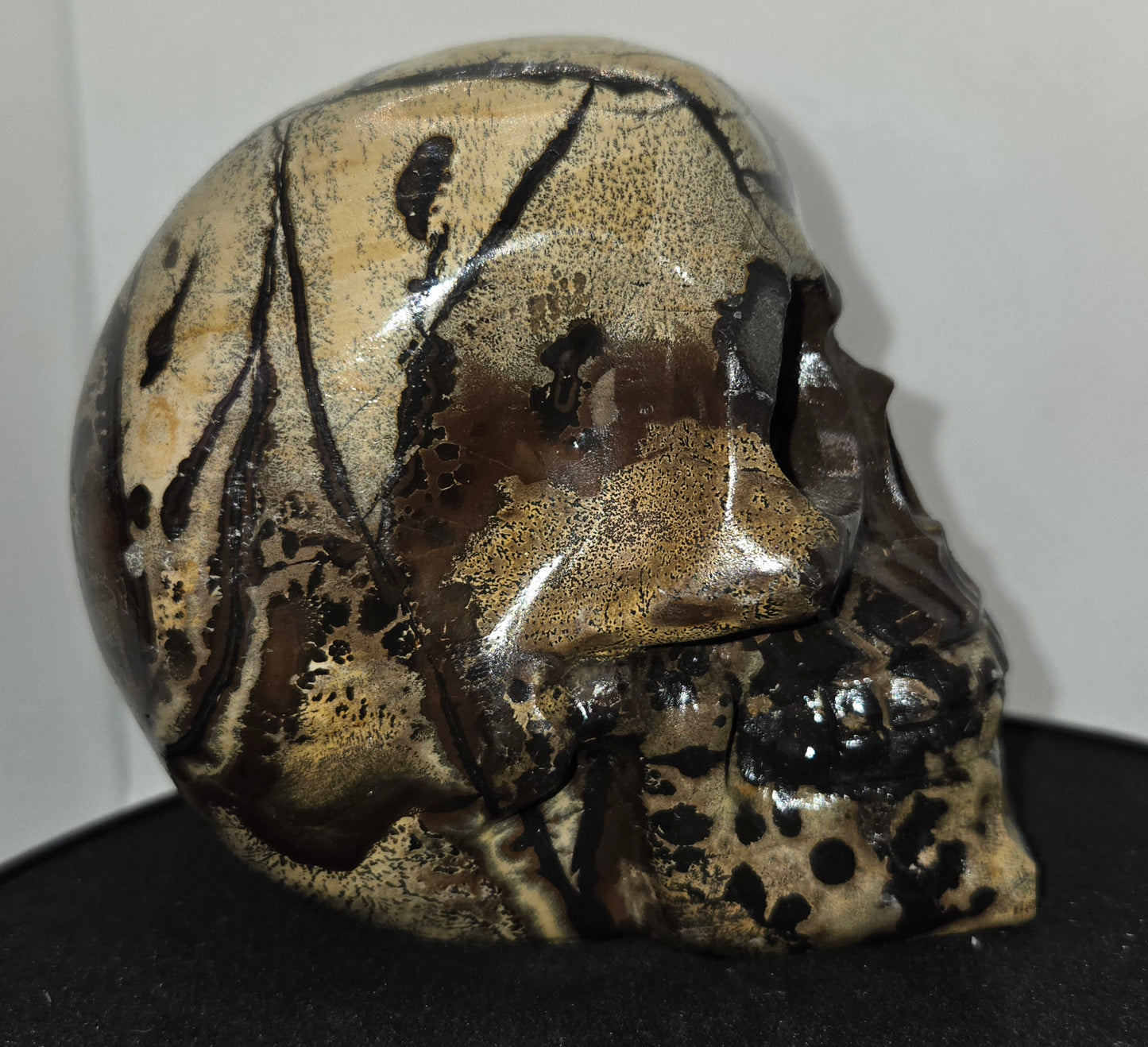 Large Picture Jasper Skull