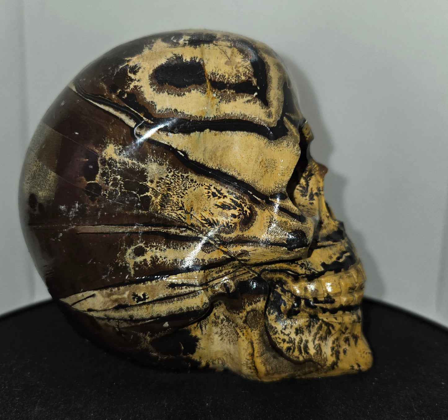 Large Picture Jasper Skull
